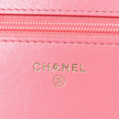 Lambskin Quilted Chanel 19 Wallet On Chain WOC Pink