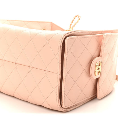 Caviar Quilted Small Chanel 25 Handbag Light Pink