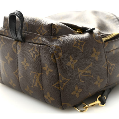 Monogram Palm Springs Backpack Mini