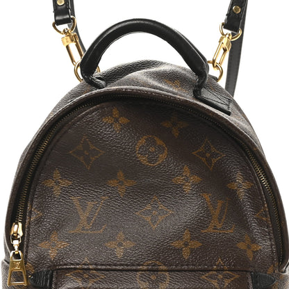 Monogram Palm Springs Backpack Mini