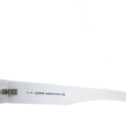 Acetate Sunglasses LW40033I Silver White